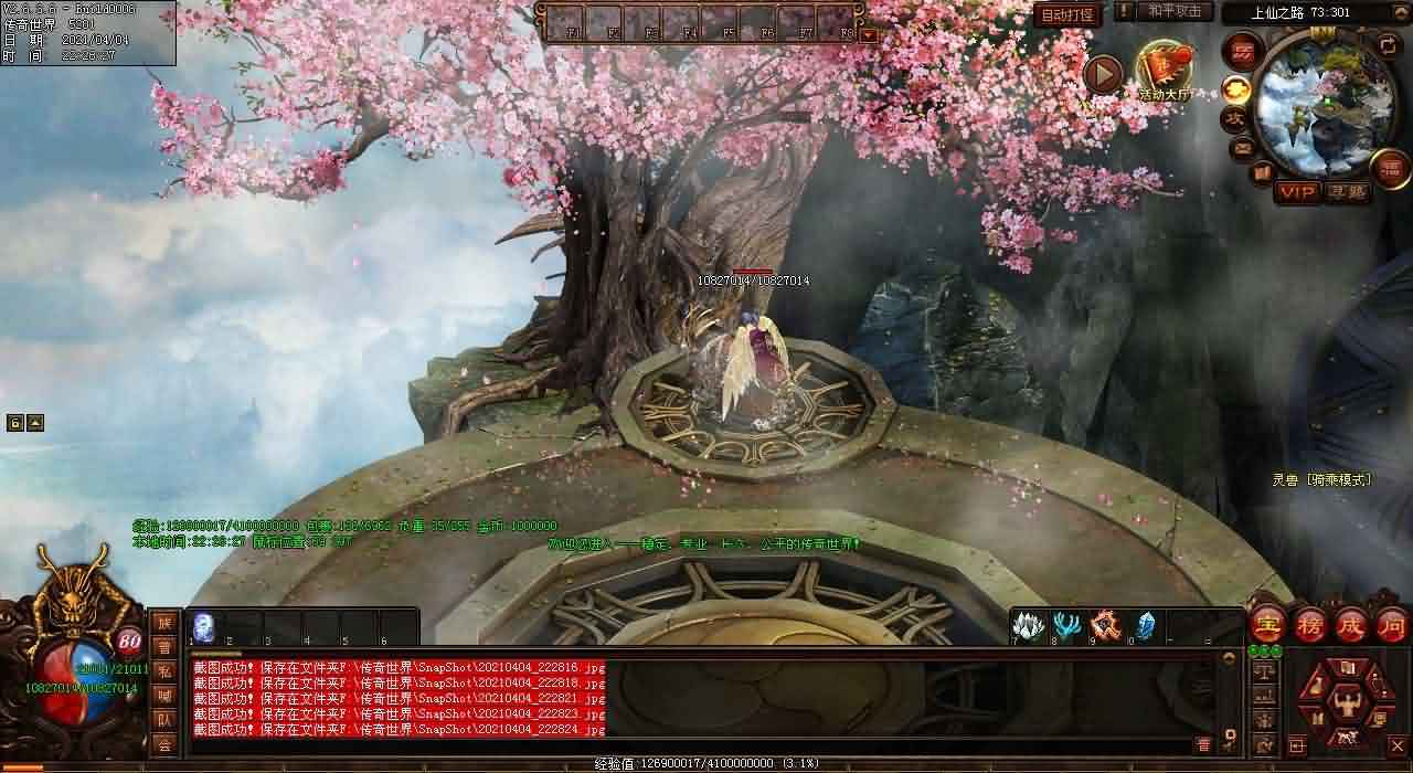 新开传世sf发布网